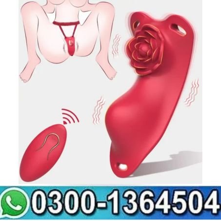 Anesidora Public Vibrator Rose Design with Remote