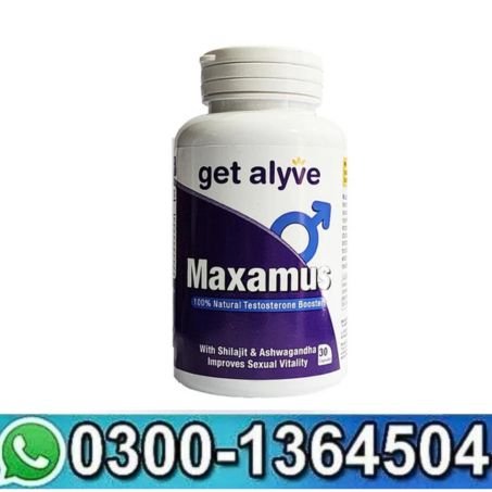 Get Alyve Maxamus for Men, 30 Ct